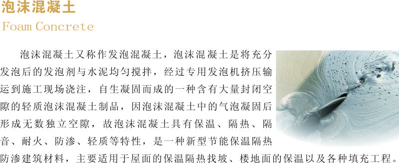 前部分 泡沫圖簡介.jpg